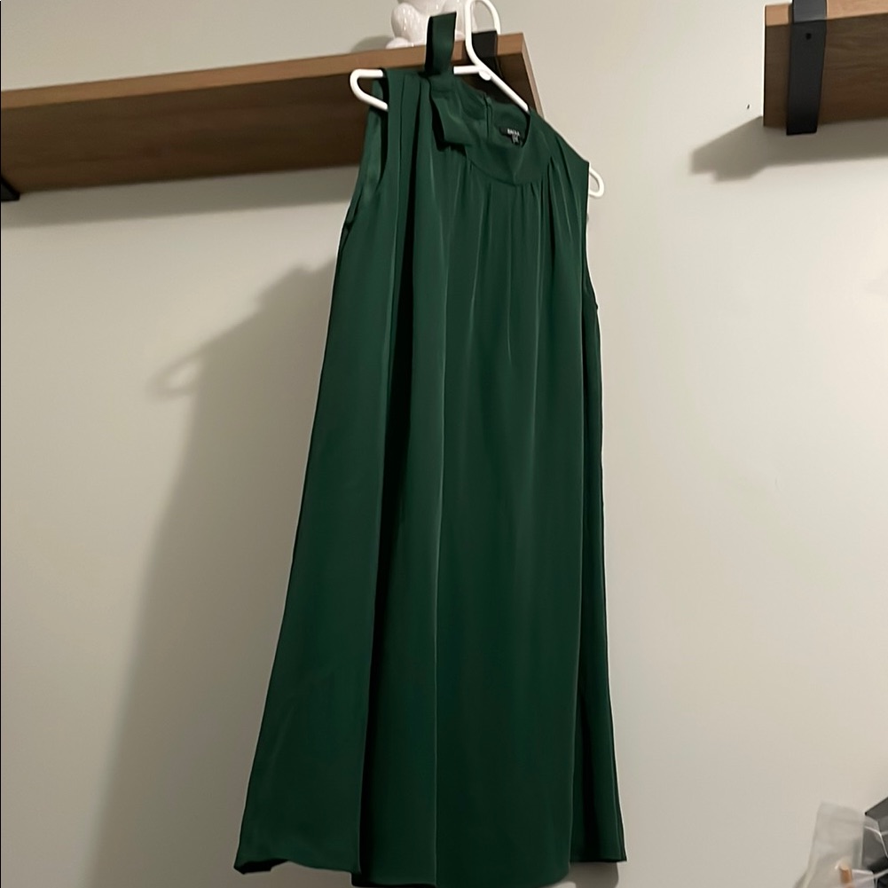Elegant Green Sleeveless Dress By Raoul